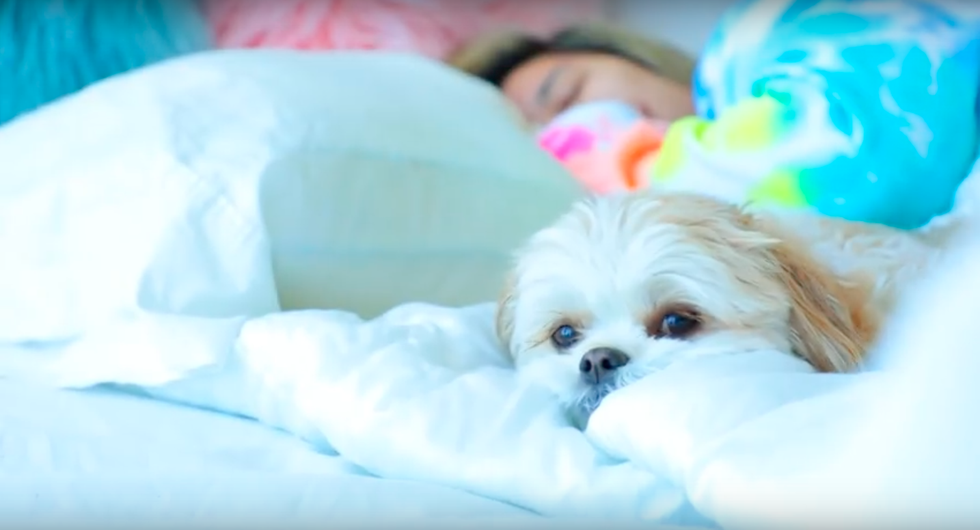 Never Underestimate The Power Of A Good Nap