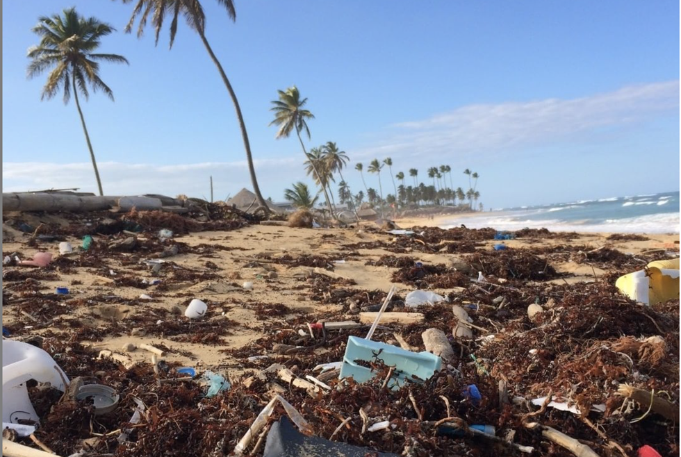 4 Ways To Be More Eco-Friendly