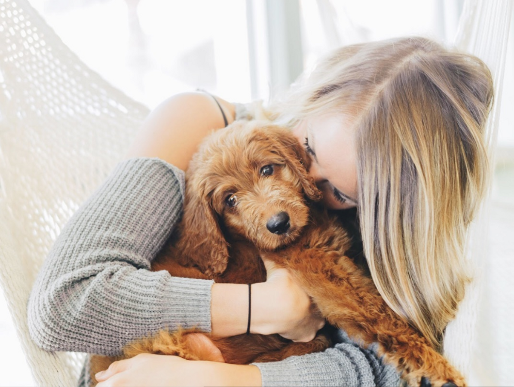 10 Things Dogs Do That Only Dog Parents Will Understand