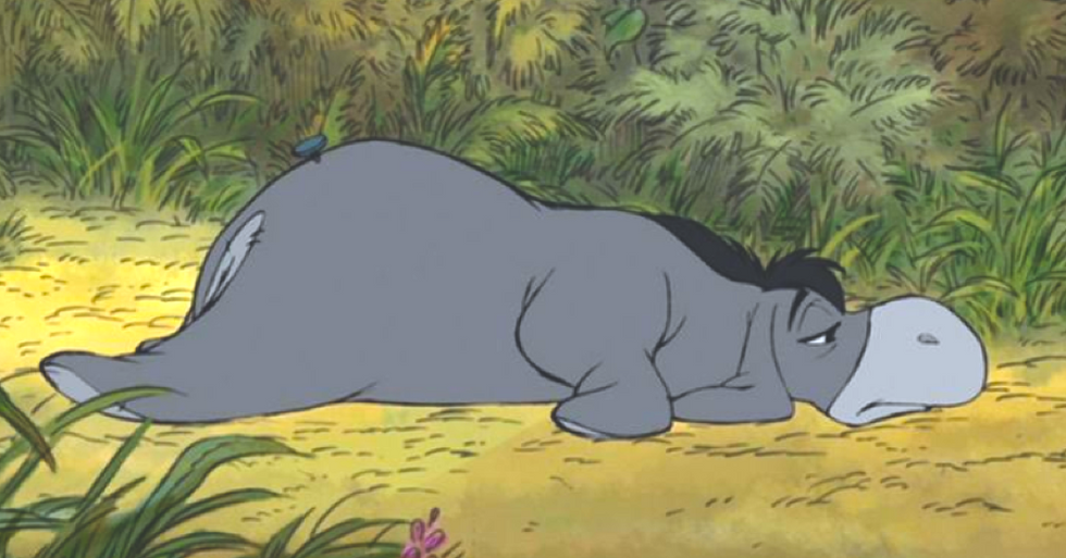 The Last 6 Weeks Of Spring Semester For A College Student, As Told By Eeyore