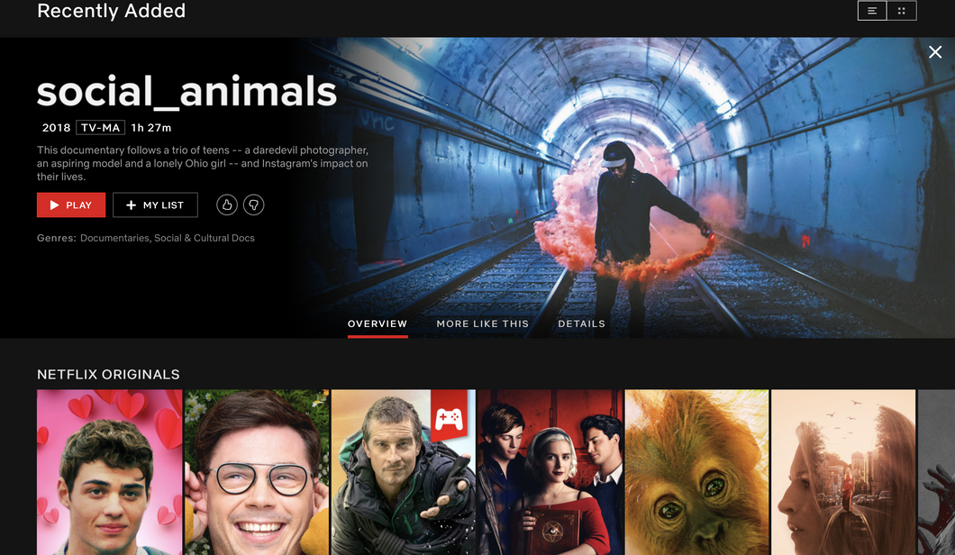4 Reasons Netflix's 'Social Animals' Is A Must-Watch Documentary