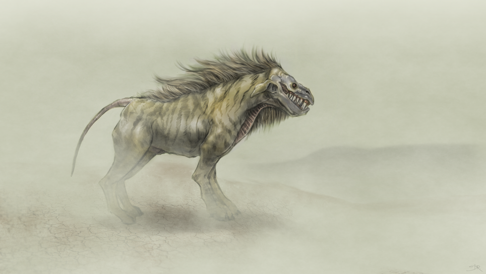 8 Creatures You Never Knew Exist