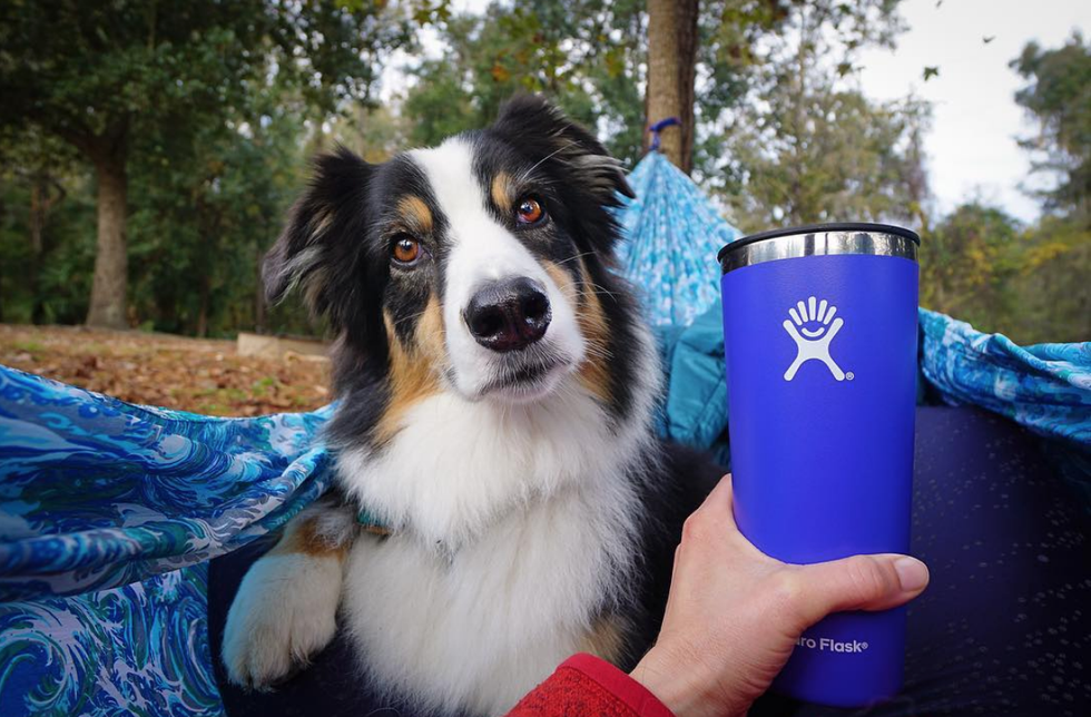 What Your Choice In Water Bottle Says About You