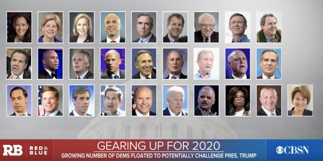 The Major Issues In The 2020 Democratic Primary