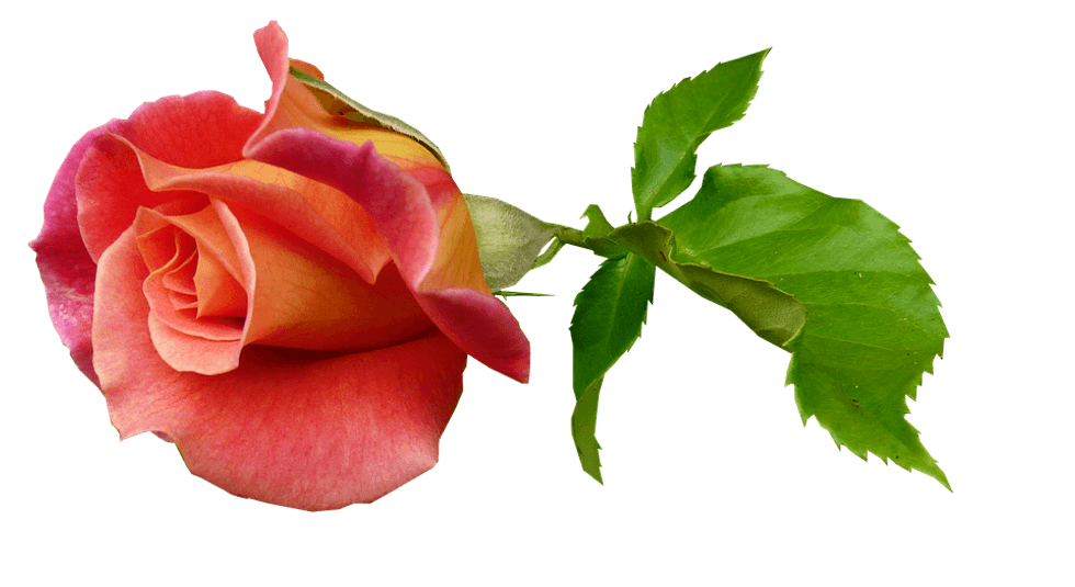 Why Is Sex So Taboo?