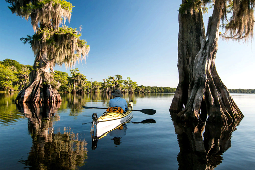 6 Kayaking Destinations In Florida That Will Leave You Breathless