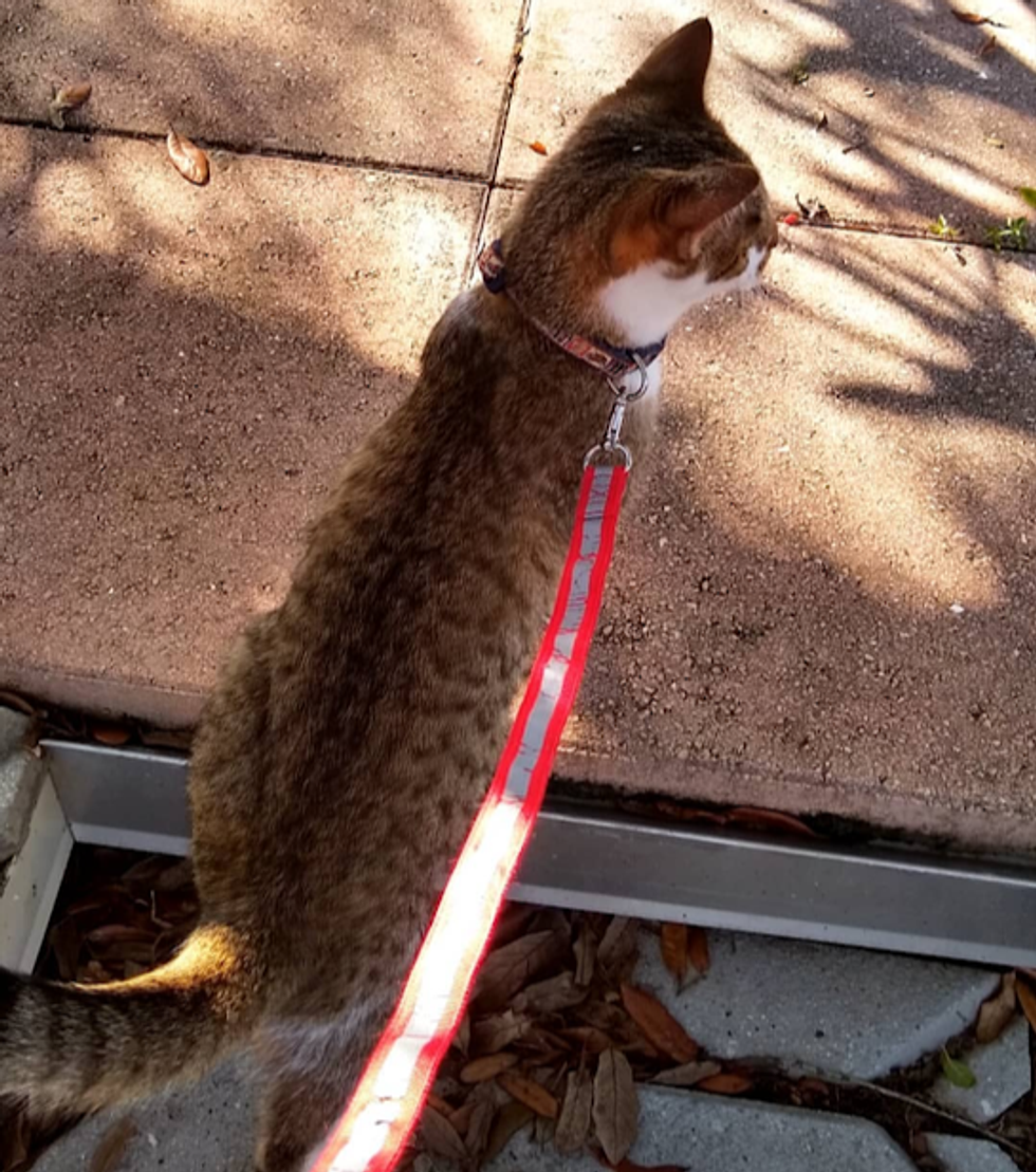 Breaking A Social Norm