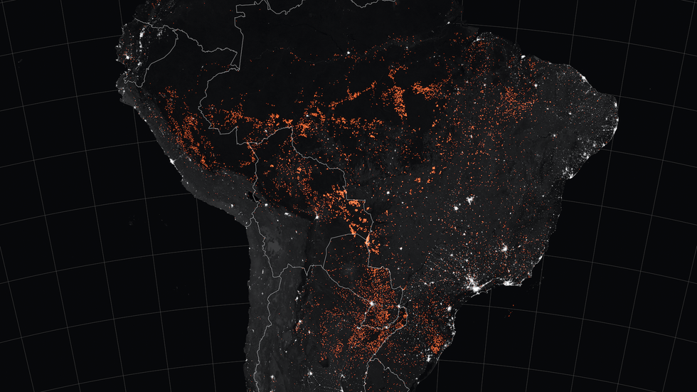 It's Not Just Climate Change, Blame Brazil’s Right-Wing Government For The Amazon Fires