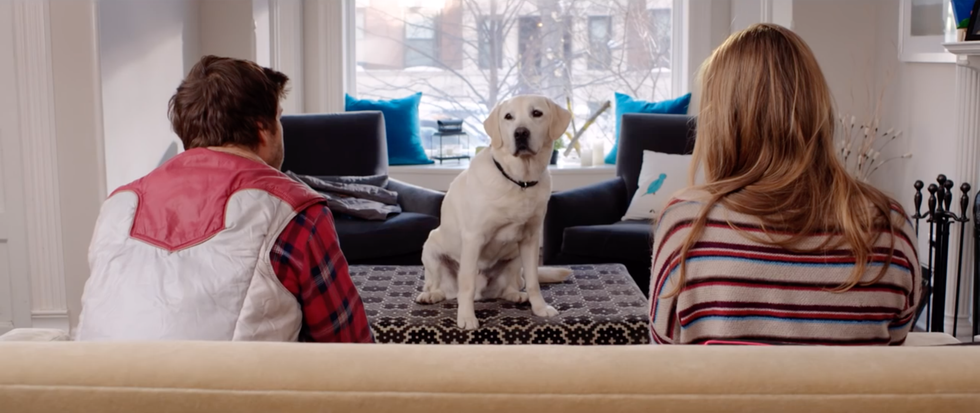 If You're Thinking About Getting A Pet With Your Significant Other... Don't