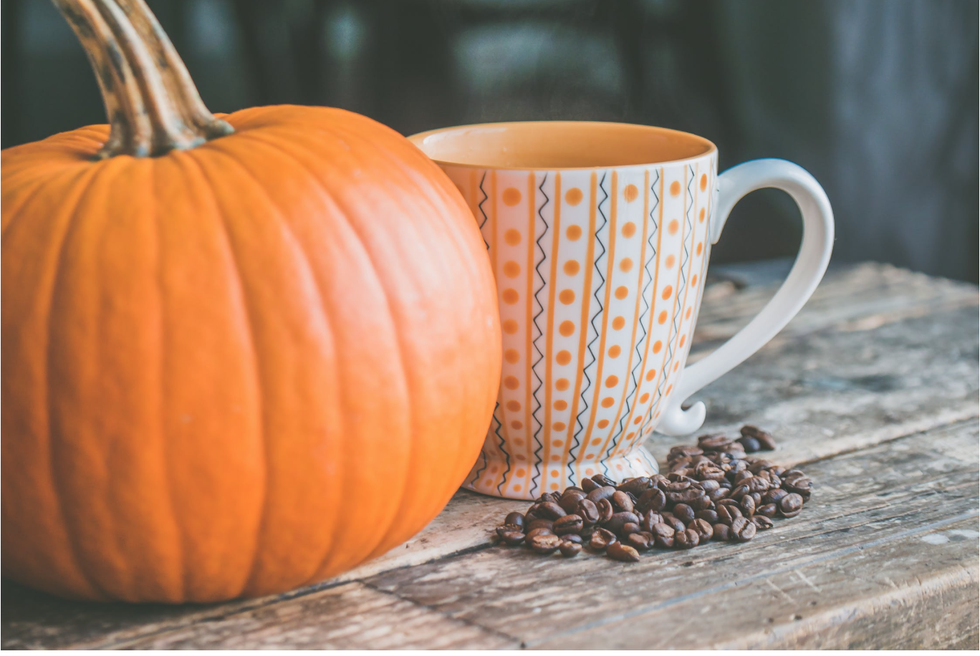 17 Fall Products From Trader Joe's That Should Be In Your Cart This Season