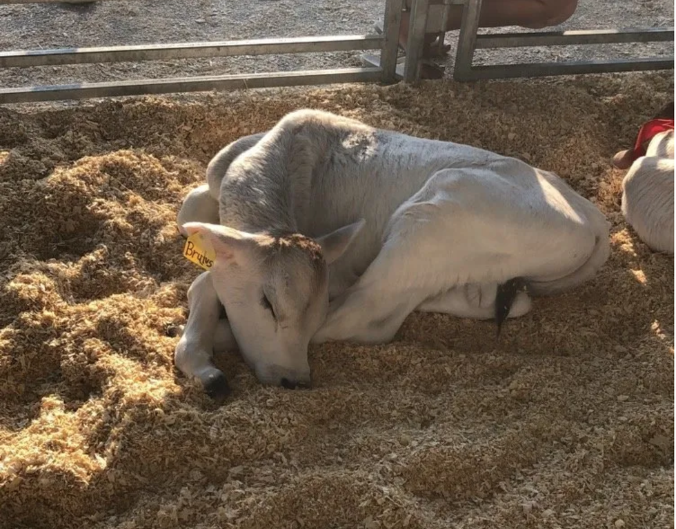 13 Things That Seem Normal To A Small-Town Girl, But Are Completely Nuts To Everyone Else