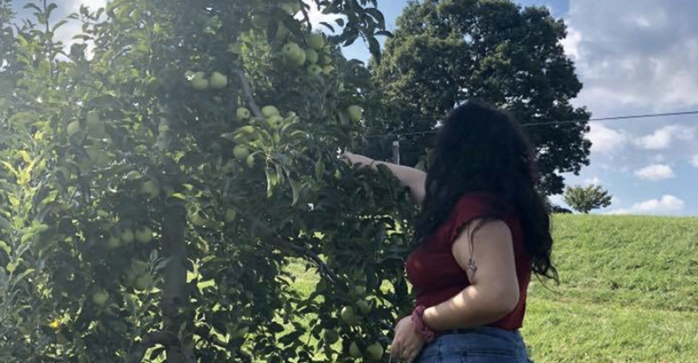 7 Fall Activities to Get You in the Spirit