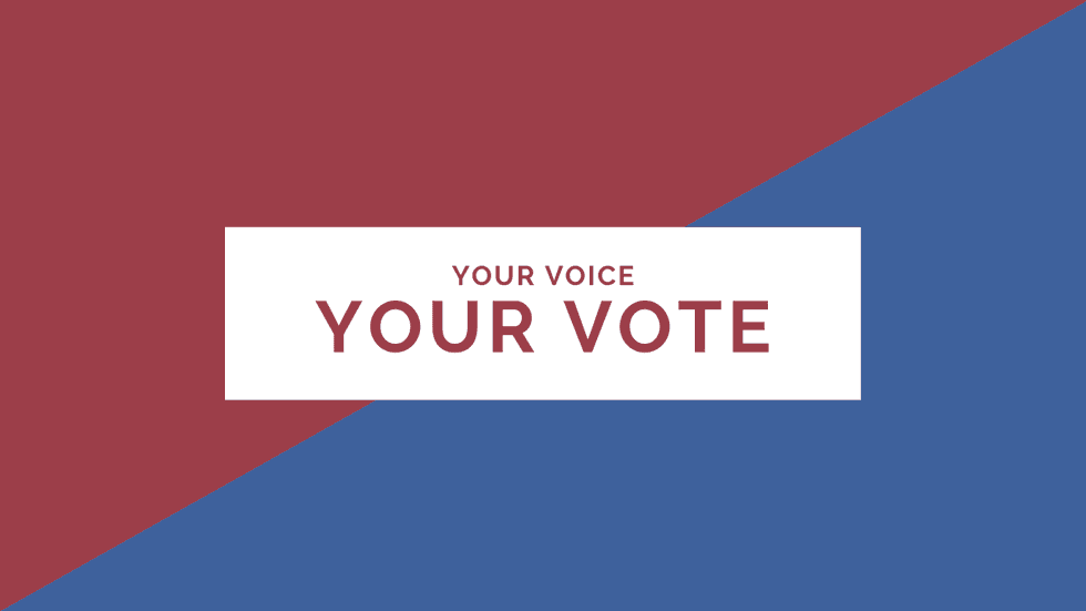 If You're Eligible to Vote I Highly Suggest That You Do