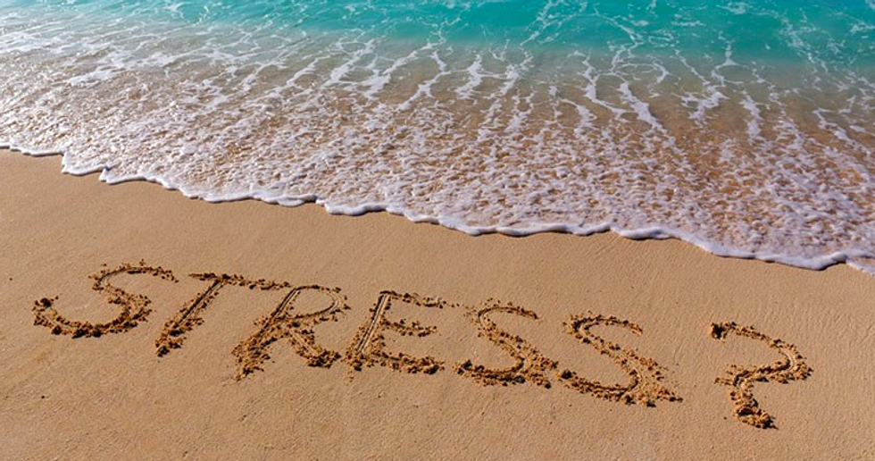 Fight or Flight: Why Can't We Seem to Relax?