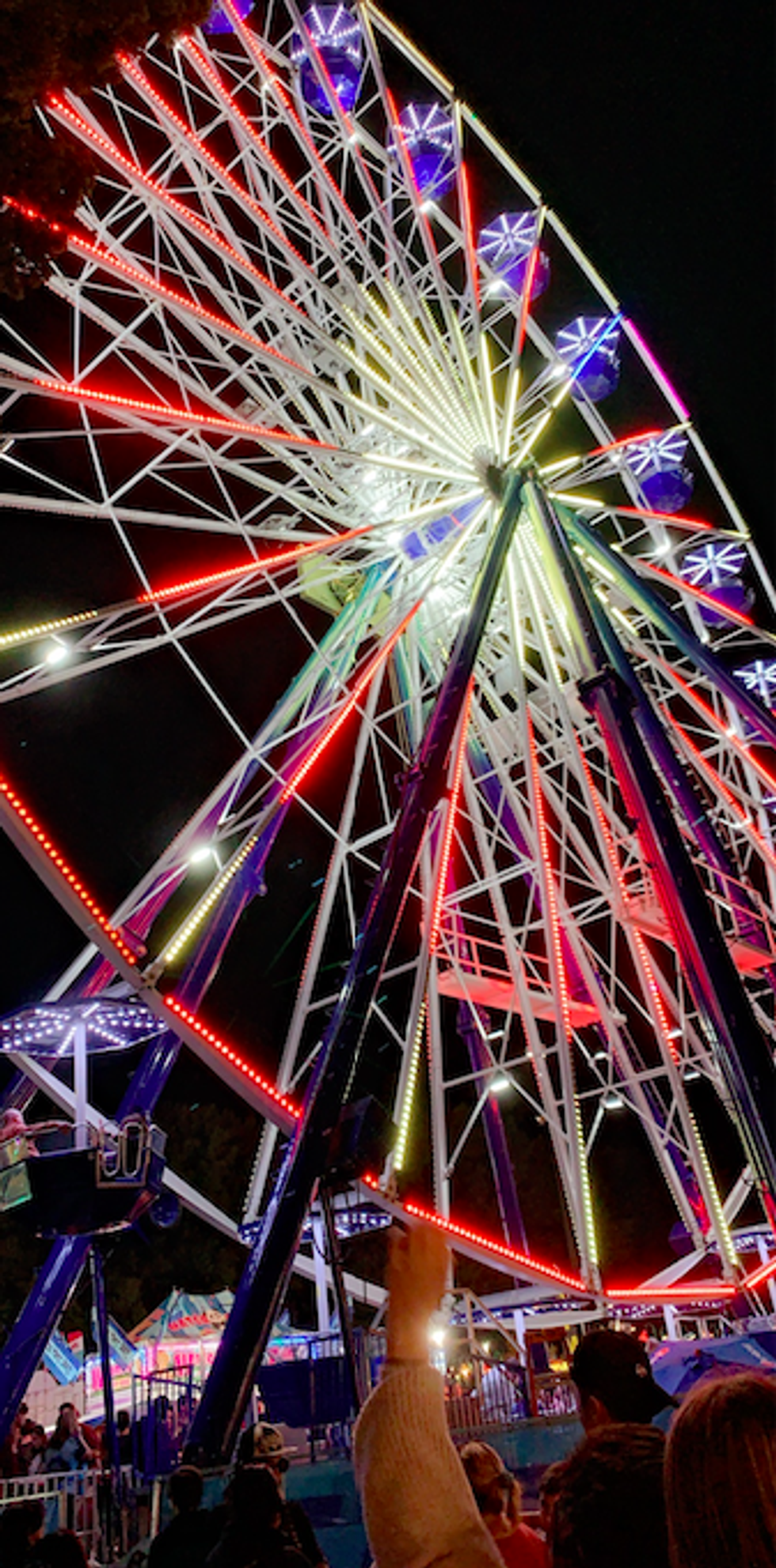 Review on NC State Fair Food 2019