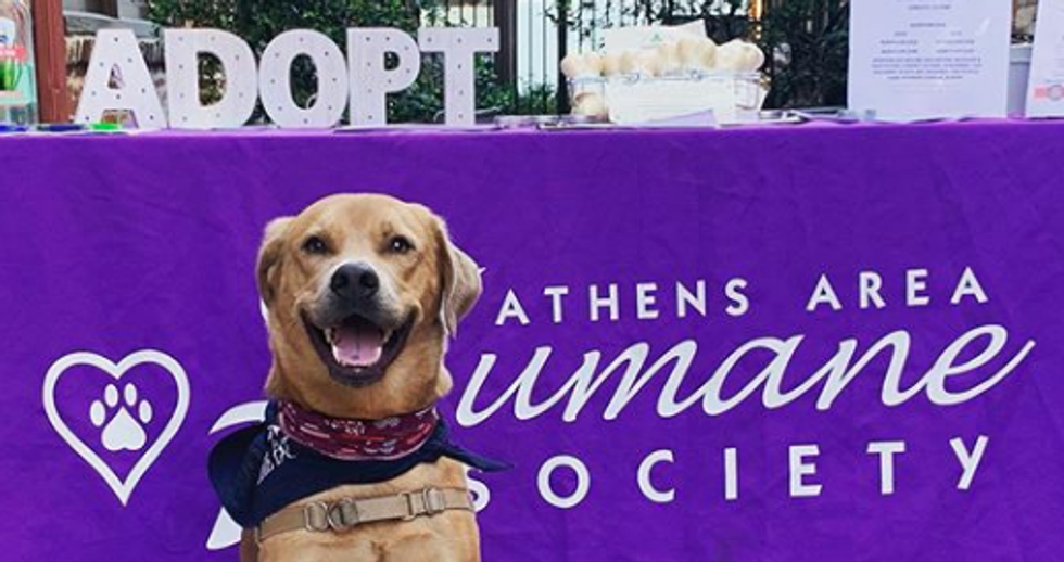 5 Humanitarian Opportunities Around Athens