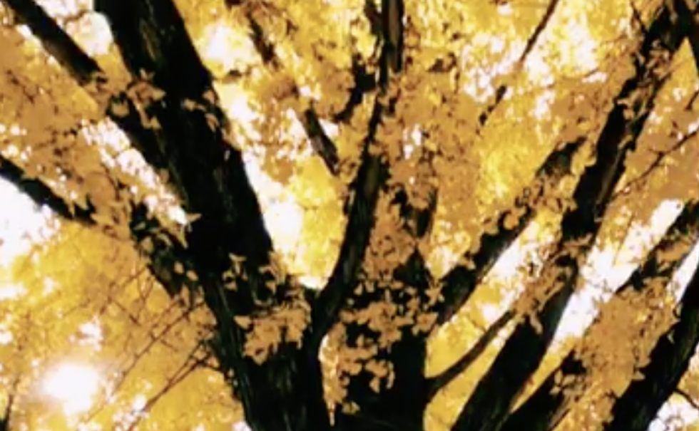 Spooky Season Necessities