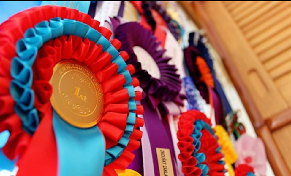 Dear Major Award Shows, Do Better When It Comes To Gender and People of Color