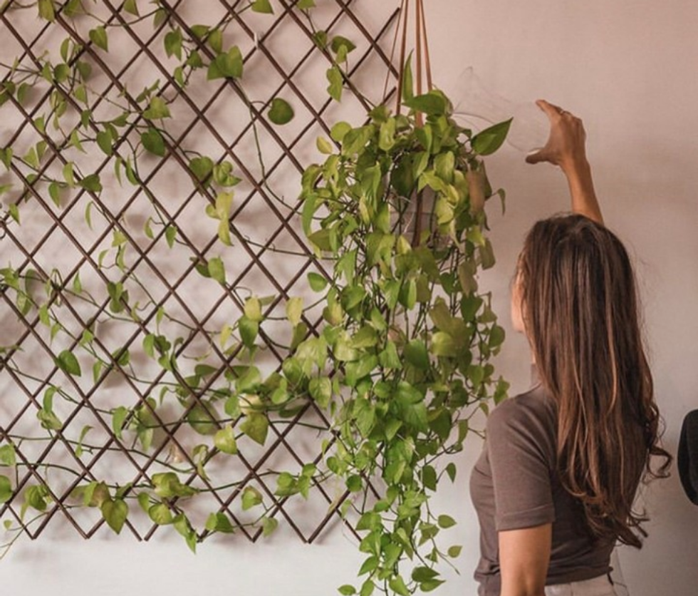 10 Reasons Houseplants Are Better Than Friends, Besides The Fact They LEAF You Alone