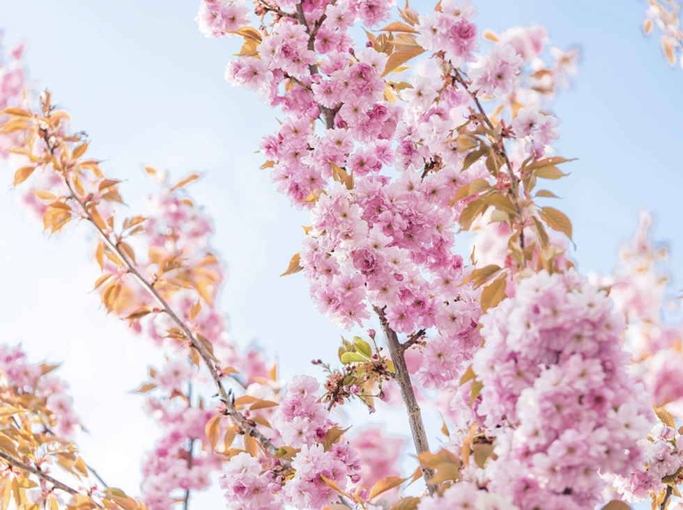 10 Relaxation Videos That Will Ease Your Mind