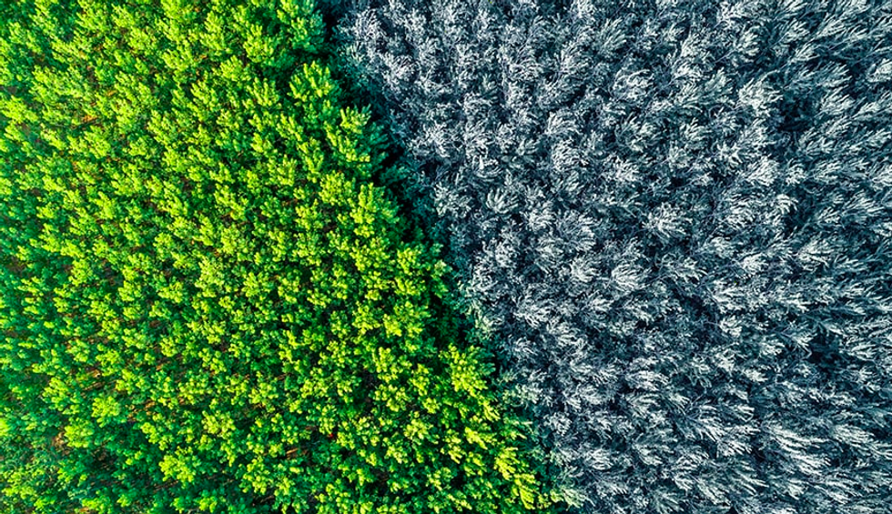 My Childhood in Seasons