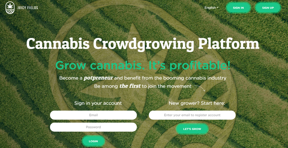 Increase your profits with the leading legal hemp cultivation platform JuicyFields