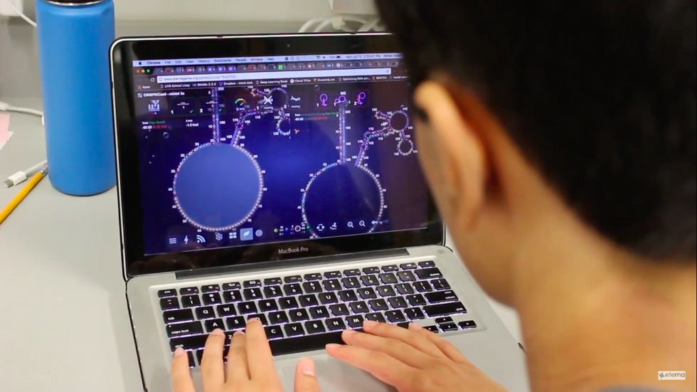 Stuck At Home? Contribute To Science Research To Stay Sharp This Summer