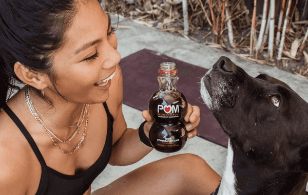 15 Things You Can Add To Your Kitchen Cabinet For A Boosted Immune System