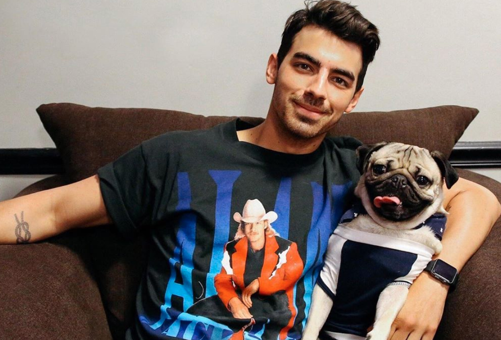 This Is The Dog Breed You Are According To Your Zodiac Sign