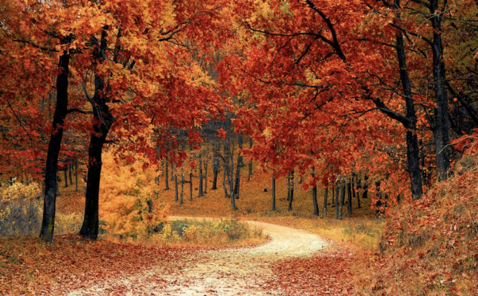 15 Things to Love About Fall