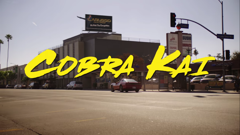 5 Things You Need To Know Before Watching The Hit Show 'Cobra Kai' On Netflix