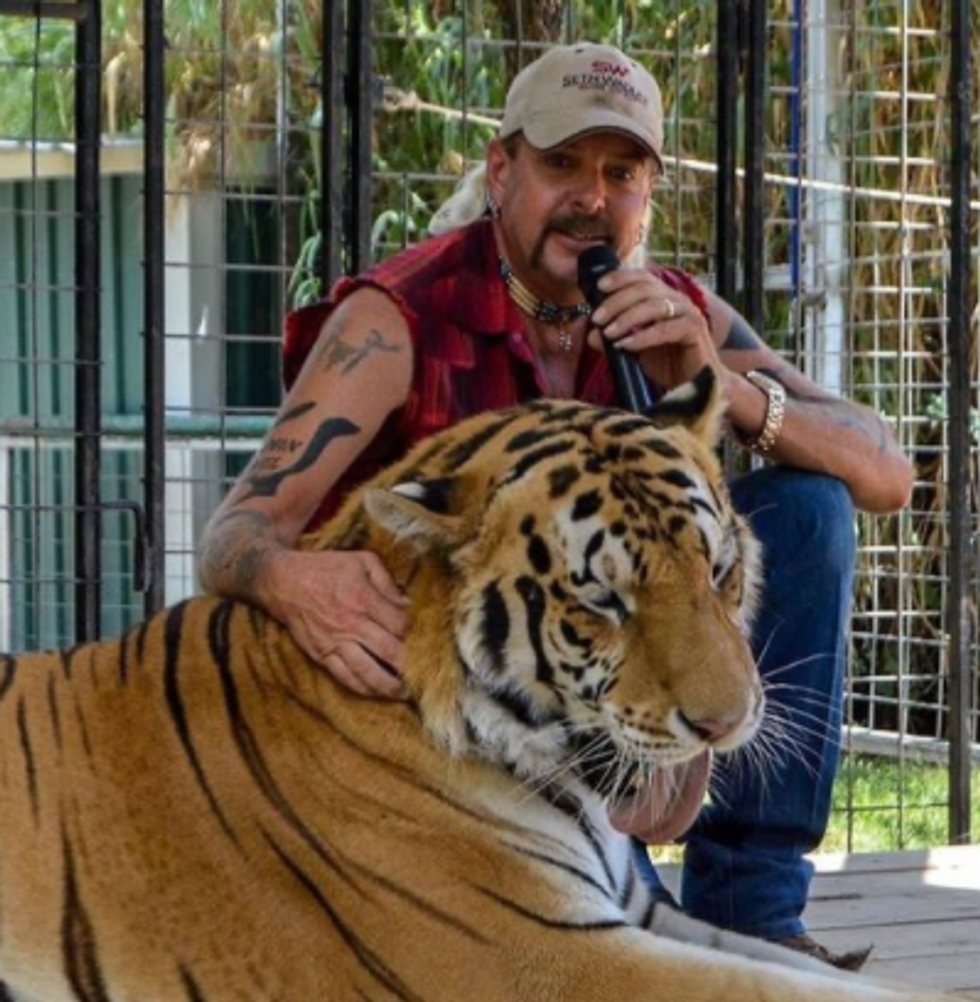 A Look Back At The Shows I Binge-Watched During The Pandemic