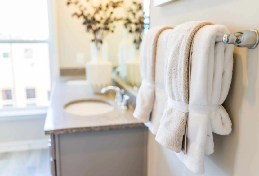 Everything You Need To Know About Vertical and Horizontal Toilet Grab Bars!