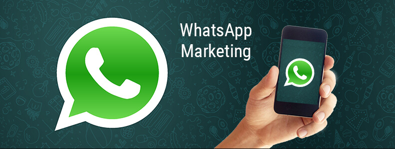 Whatsapp Marketing Service Provider In Mumbai