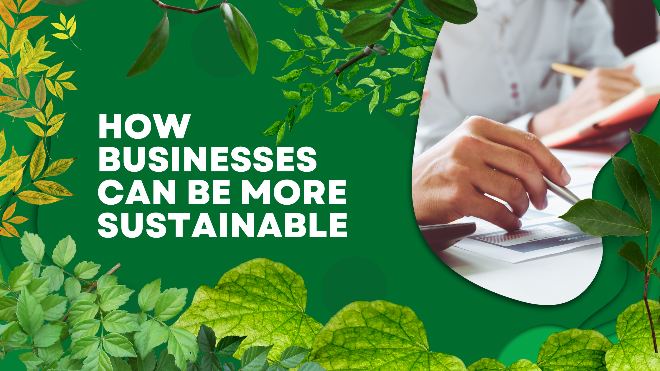4 Ways Businesses Can Be More Sustainable