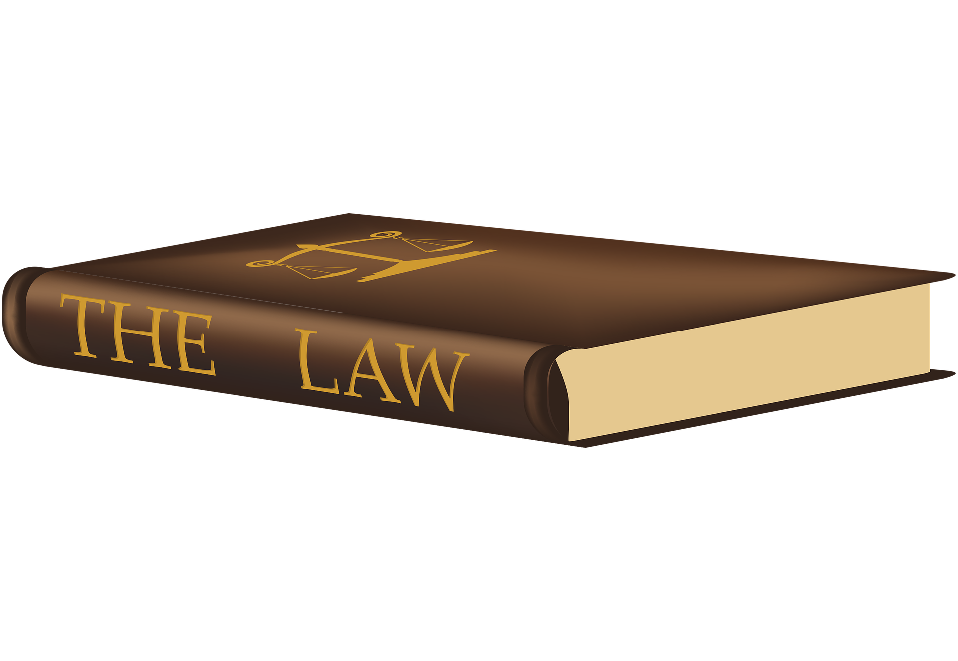 Why Is Employment Law Important?