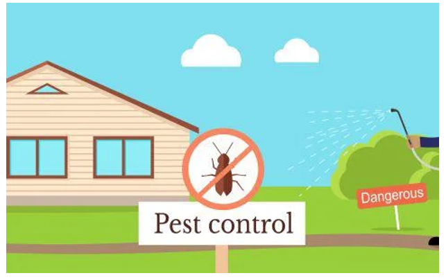 Pest Control Bury- How to Get Rid of Pests