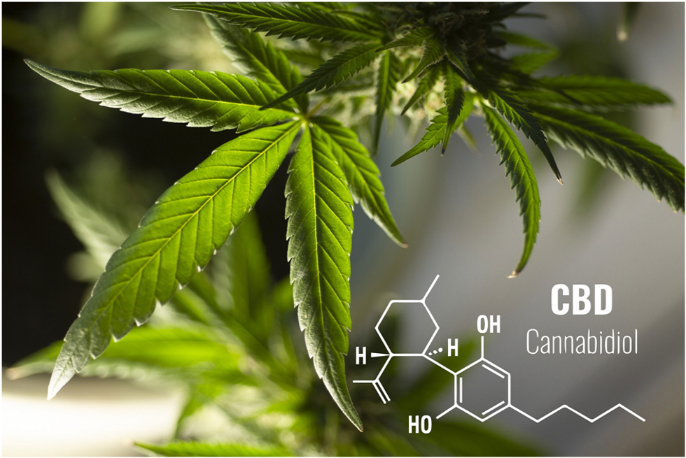 Guide To Know The Health Benefits Of CBD