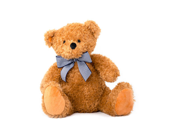 Teddy Bear Repair Hospital: Services and Processes
