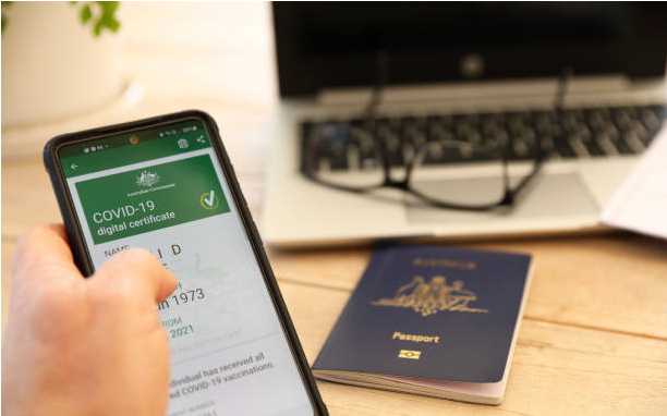 British Connections: The Process of Passport Renewal