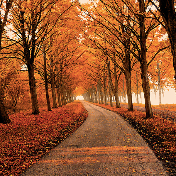 Six Fall Recipes To Get You Through November