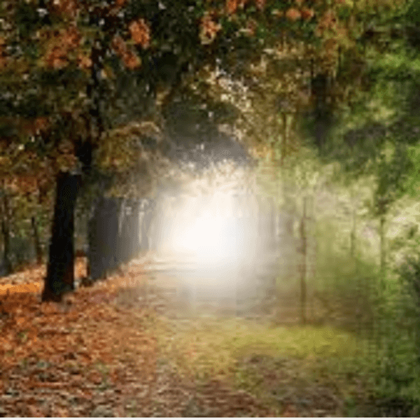 An End Of Summer Checklist