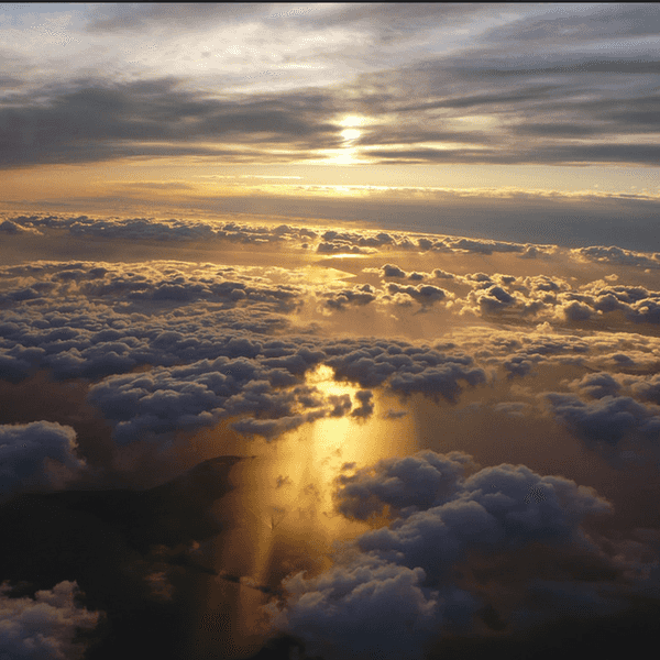 Symbolism In The Short Story "Kitty"