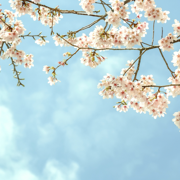 A Playlist For Warm Weather