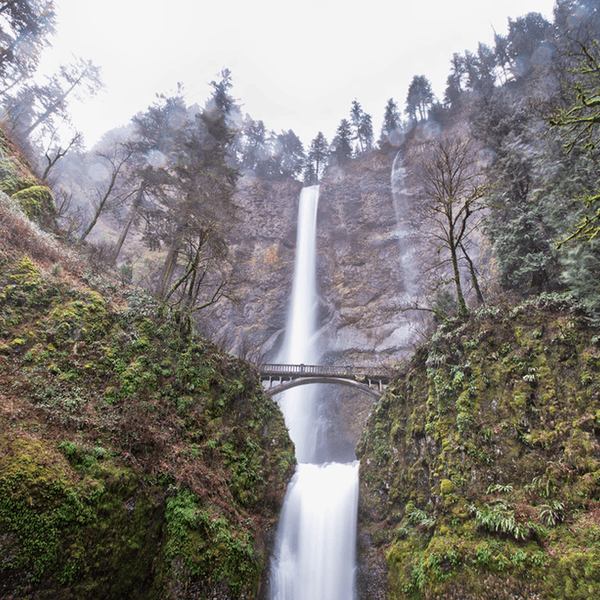 19 Signs You're From Oregon