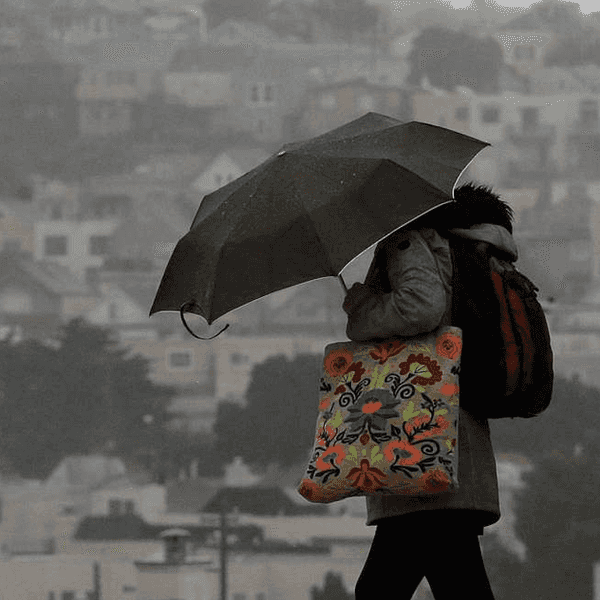 14 Things to Pack In Your Backpack On A Rainy Day