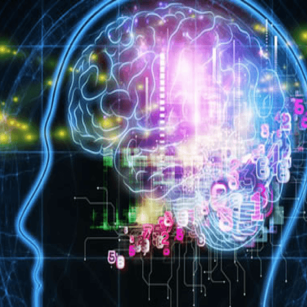 Why I'm Majoring In Psychology