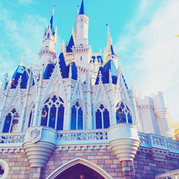 12 Phases Of The Disney College Program Application Process