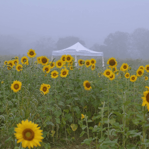 No One Said Growing Up In Sussex County, New Jersey Was Easy