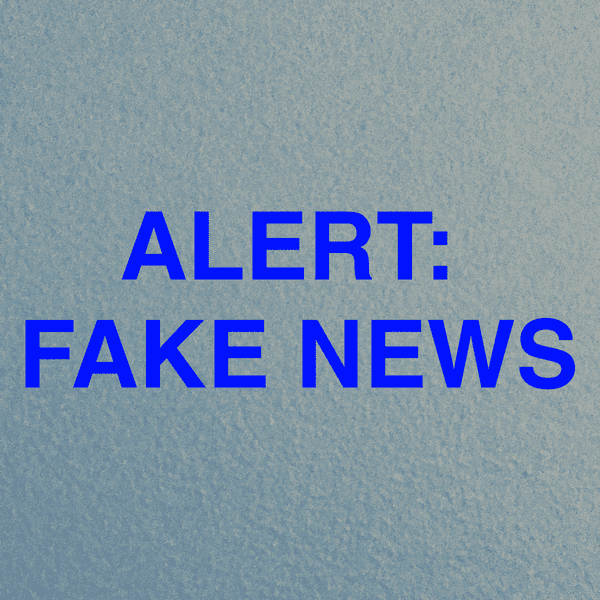 Fake News: Is It An Epidemic?
